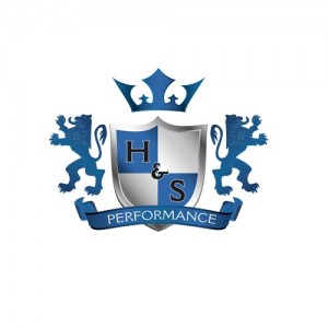 H & S Performance